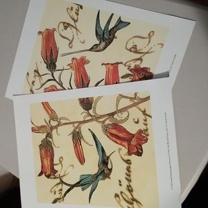 Hummingbird Prints